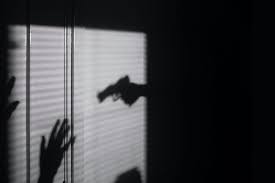 crime thriller stories